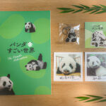 映画 パンダのすごい世界 movie goods パンフレット グッズ 来場者プレゼント 映画レビュー