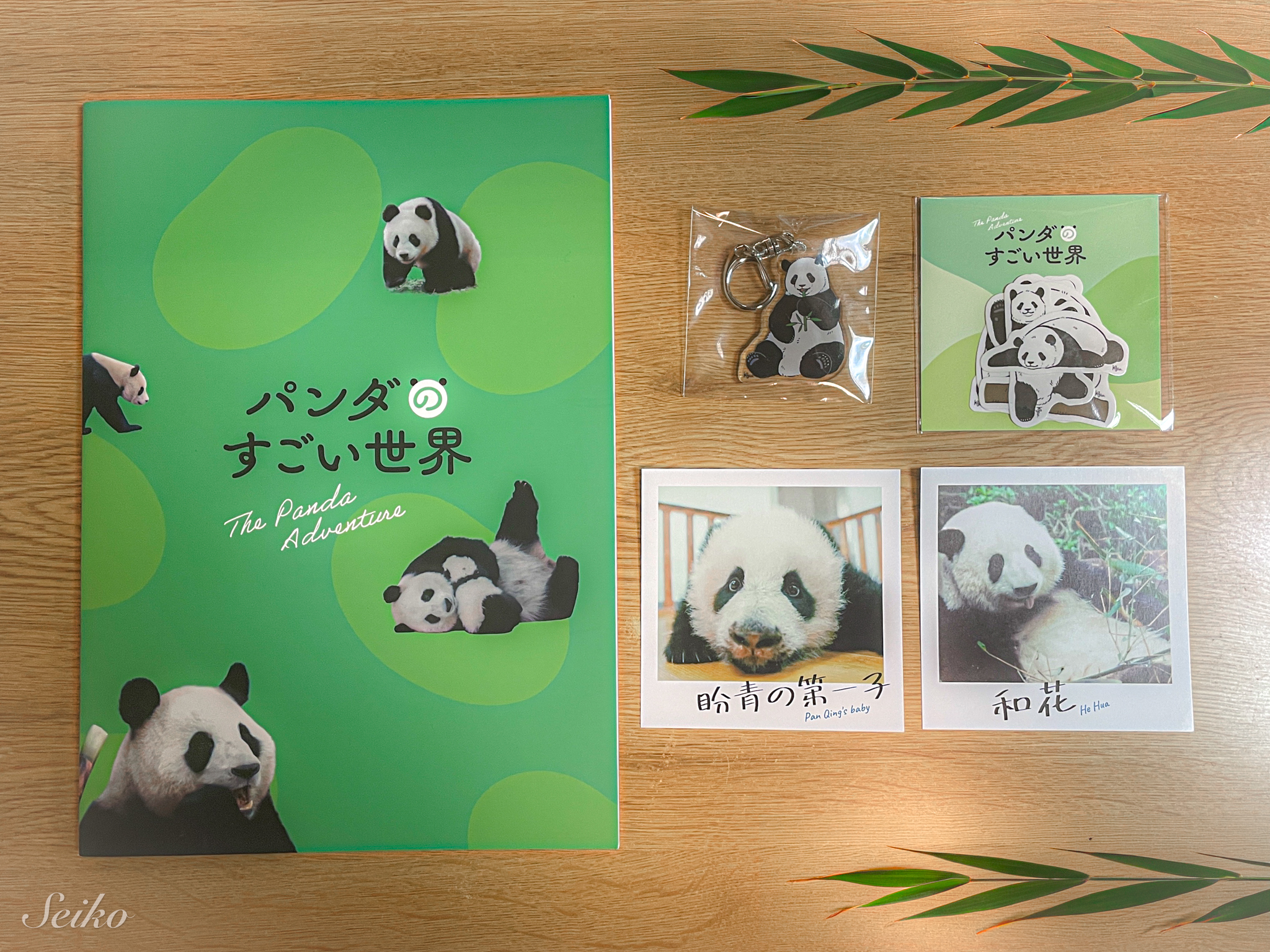 映画 パンダのすごい世界 movie goods パンフレット グッズ 来場者プレゼント 映画レビュー