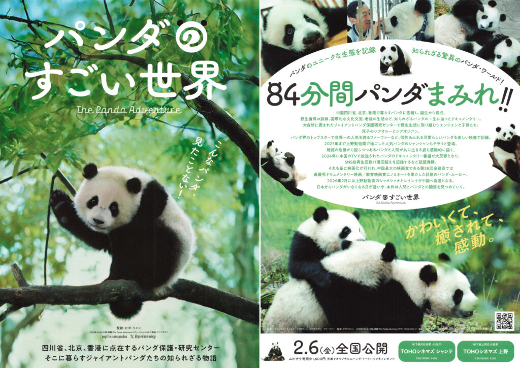 flyer movie パンダのすごい世界 チラシ