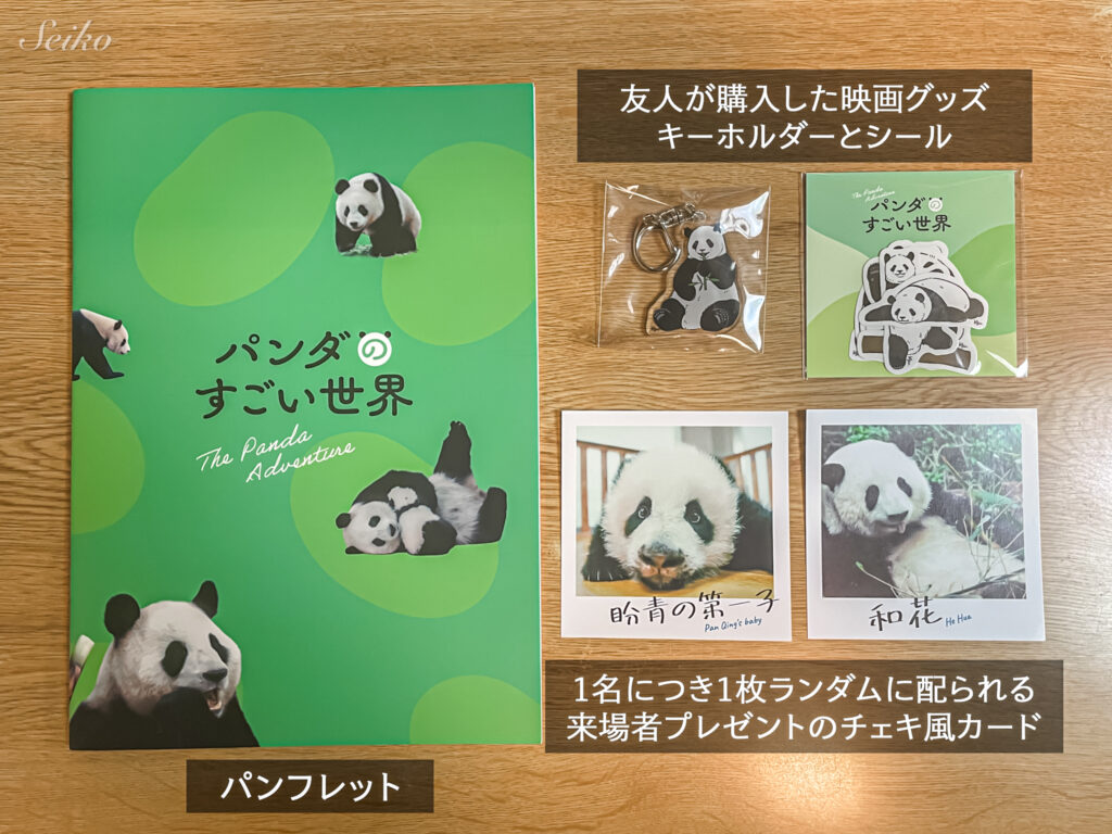 映画 パンダのすごい世界 movie goods パンフレット グッズ 来場者プレゼント 映画レビュー