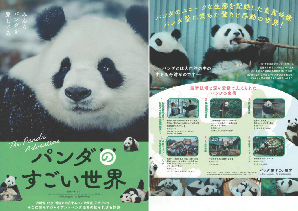 flyer movie パンダのすごい世界 チラシ